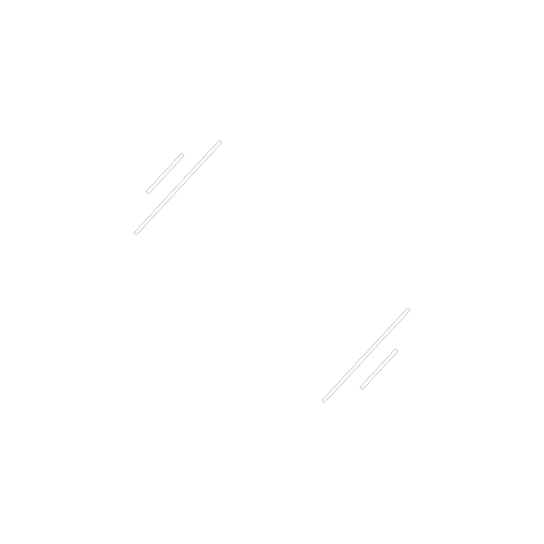 Icon Reparaturverglasung